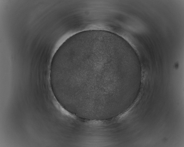 X0000089911094200707060954