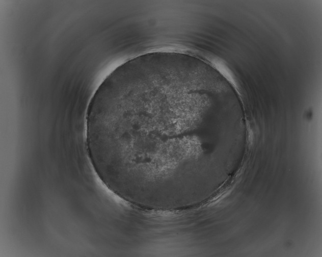 X0000089911095200707060954