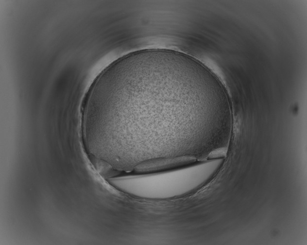 X0000089911096200707060954