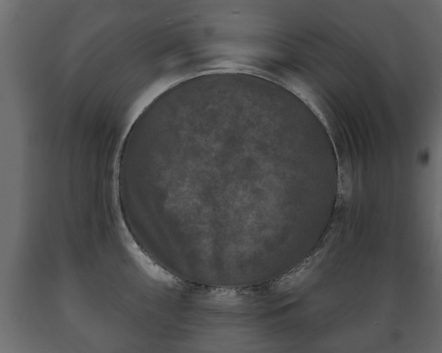 X0000089911098200707060954