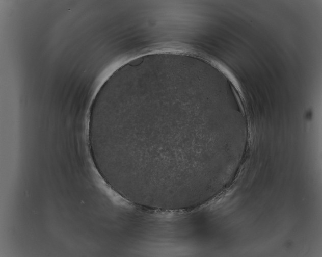 X0000089911099200707060954