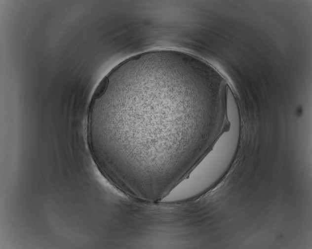 X0000089911100200707060954