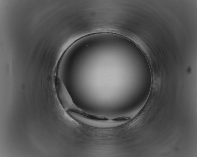 X0000089911102200707060954