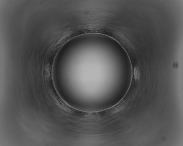 X0000089911107200707060953