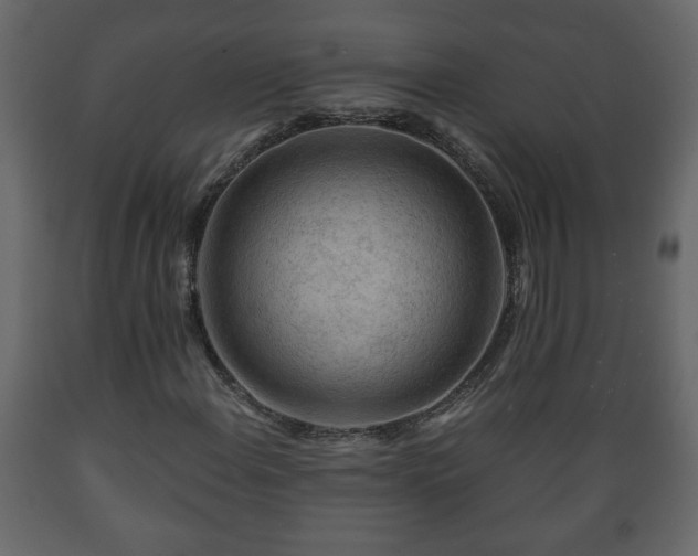 X0000089911108200707060953