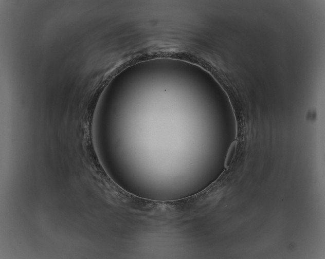 X0000089911109200707060953