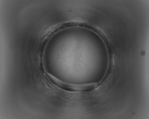 X0000089911110200707060953