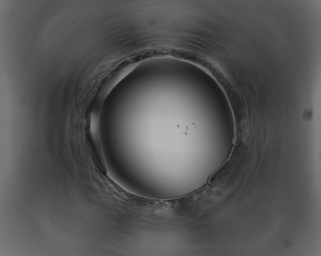 X0000089911111200707060953