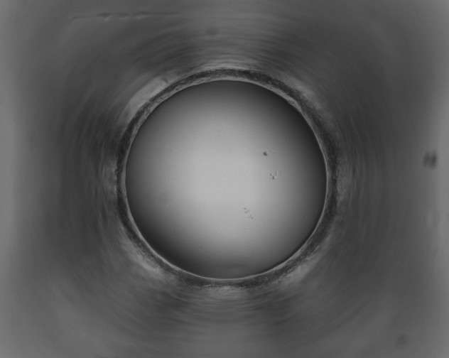X0000089911113200707060953