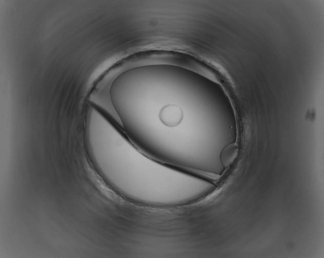 X0000089911114200707060953