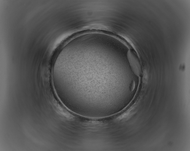 X0000089911115200707060953
