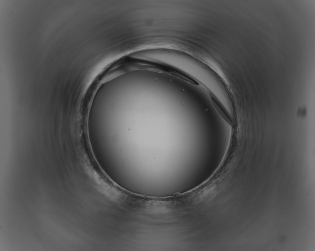 X0000089911116200707060953