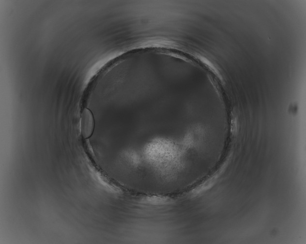 X0000089911117200707060953