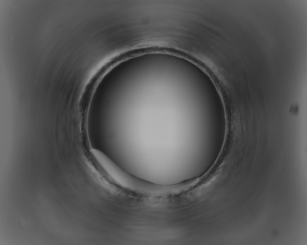 X0000089911118200707060953