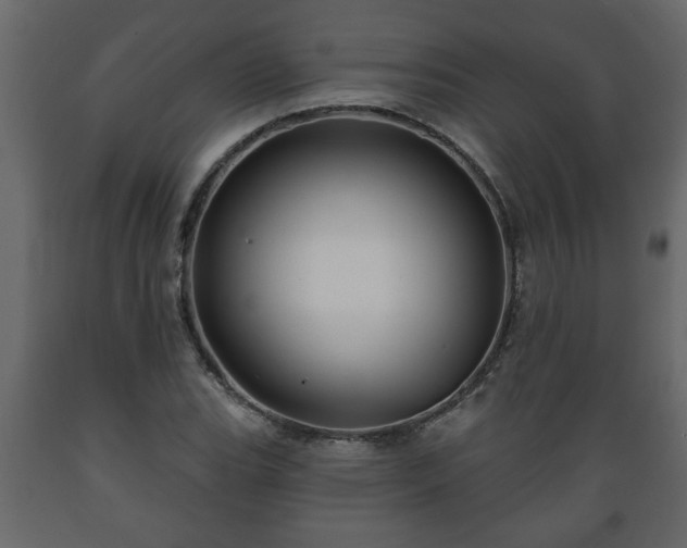 X0000089911119200707060953