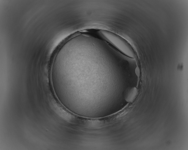 X0000089911120200707060953