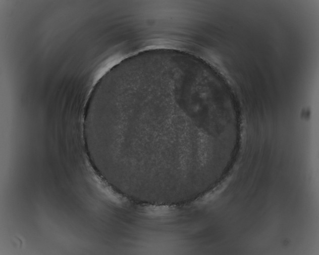 X0000089911121200707060953