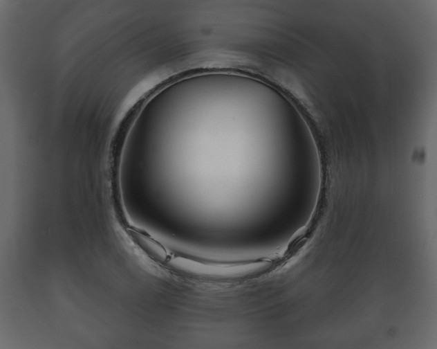 X0000089911122200707060953