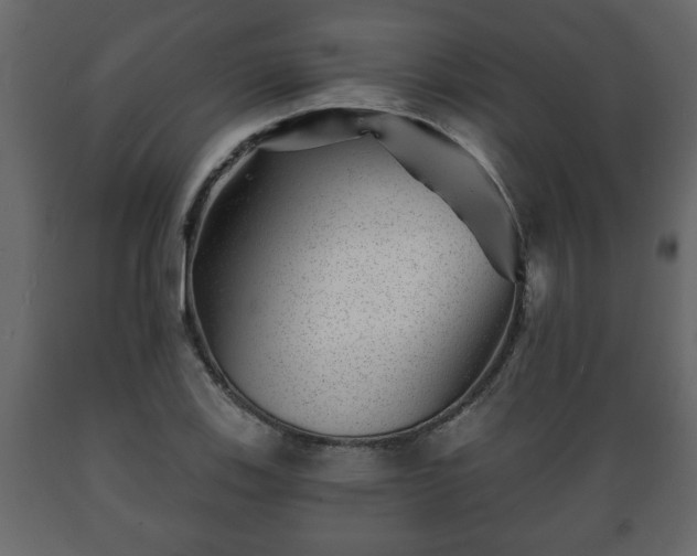 X0000089911123200707060953