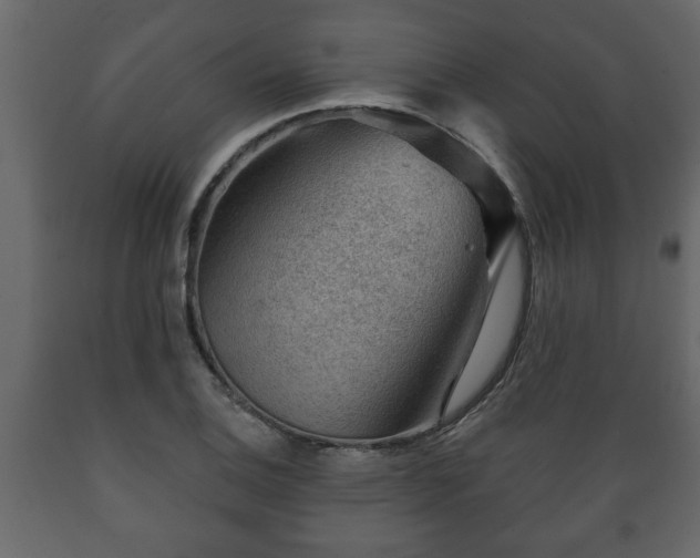 X0000089911124200707060953
