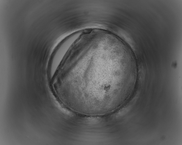 X0000089911125200707060953