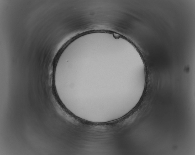 X0000089911126200707060953