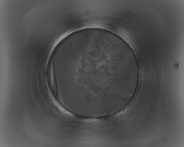 X0000089911127200707060953