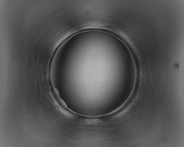 X0000089911129200707060953