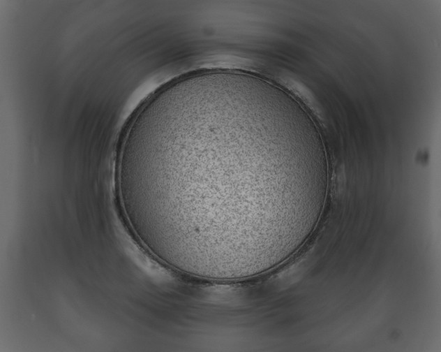 X0000089911130200707060953