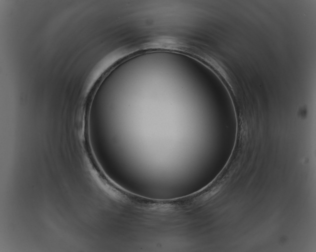 X0000089911131200707060953
