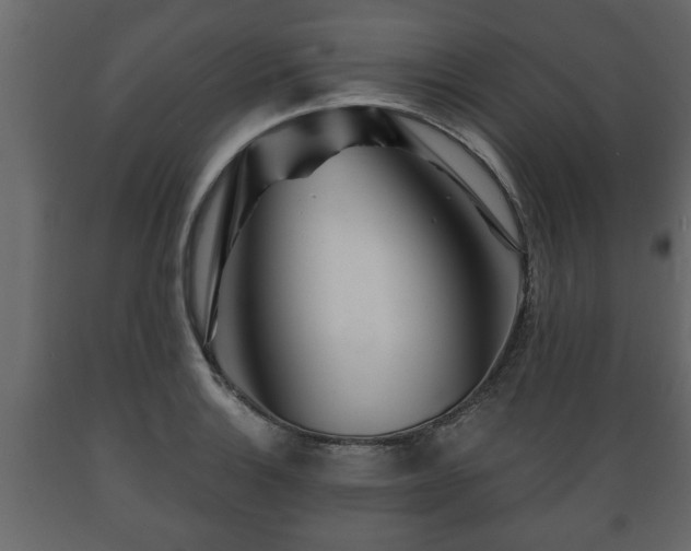 X0000089911132200707060953
