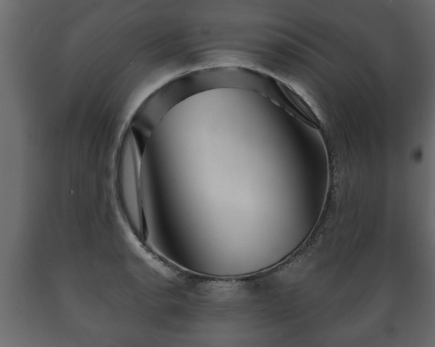 X0000089911134200707060953