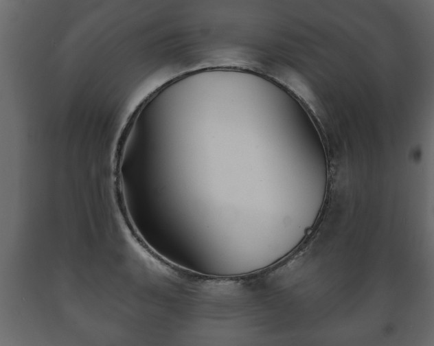 X0000089911135200707060953
