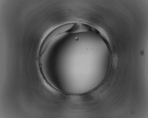 X0000089911136200707060953