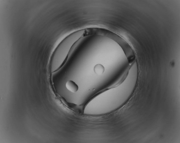 X0000089911140200707060954