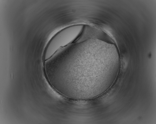 X0000089911141200707060954