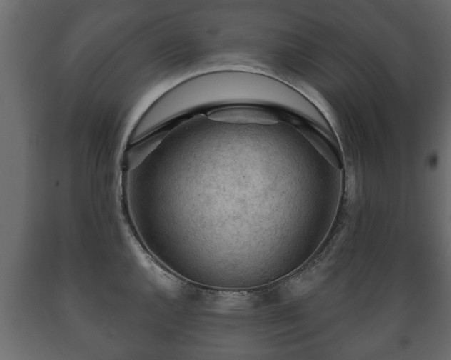X0000089911144200707060954