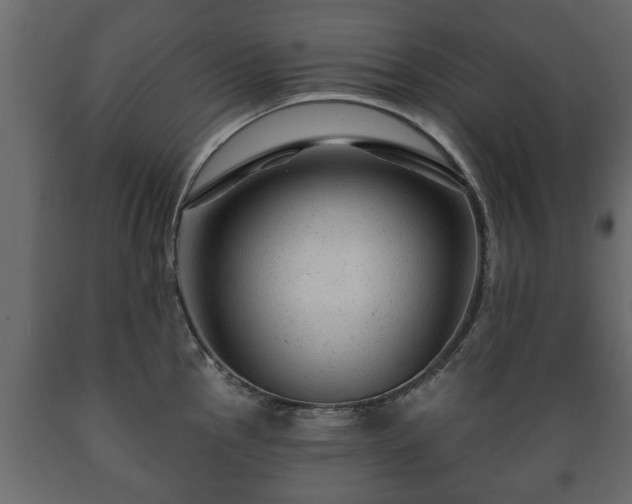 X0000089911145200707060954