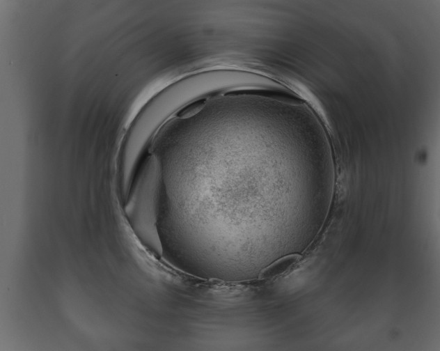 X0000089911146200707060954