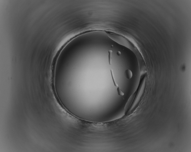 X0000089911147200707060954