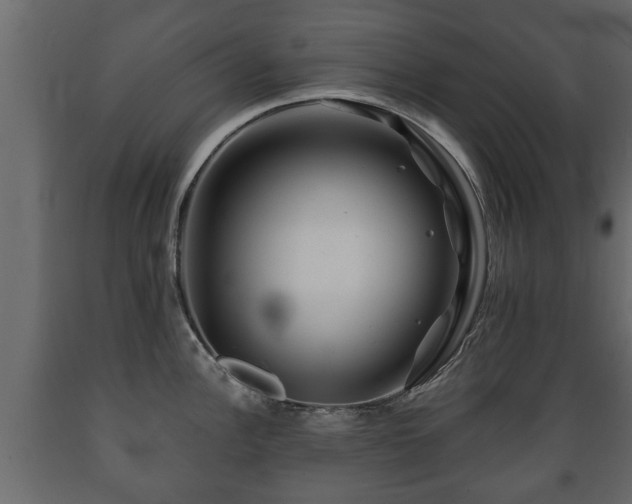X0000089911148200707060954