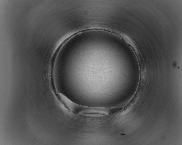 X0000089911149200707060954