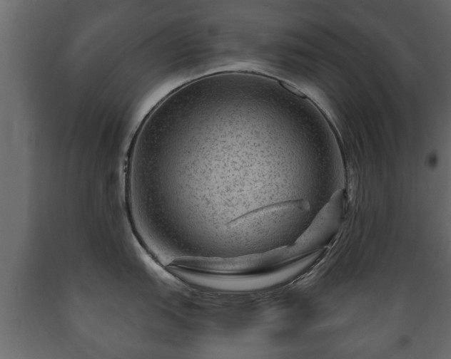 X0000089911151200707060954