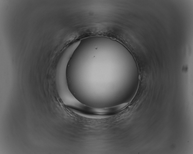 X0000089911153200707060953