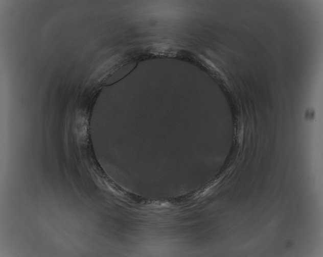 X0000089911154200707060953