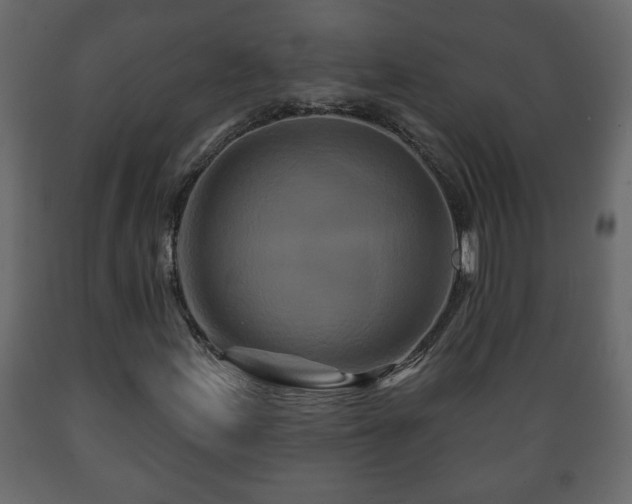 X0000089911155200707060953