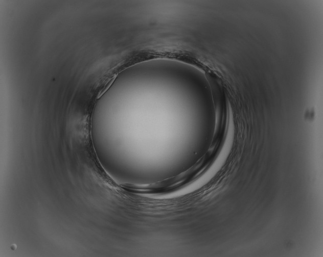 X0000089911156200707060953