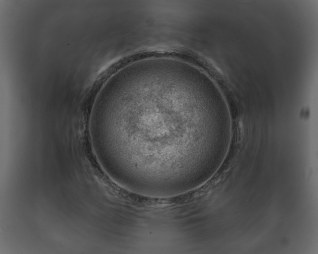 X0000089911158200707060953