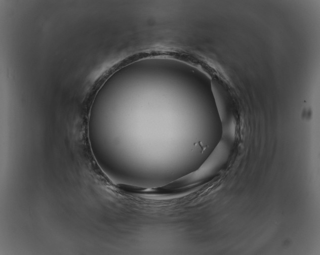 X0000089911160200707060953