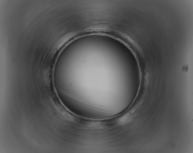 X0000089911162200707060953